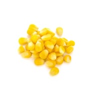 Yellow Maize