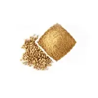 Coriander Powder
