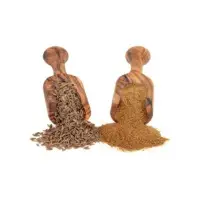 Cumin Seeds Powder