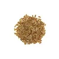 Dill Seeds