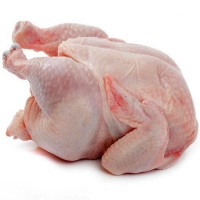 go4_apollo_Tangui.w_imageUrl_1614961471 Frozen Chicken Suppliers