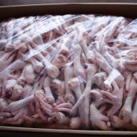 go4_apollo_Tangui.w_imageUrl_1614961757 Frozen Chicken Suppliers