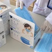 3-ply Disposable Mask