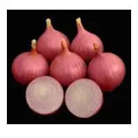 Bhima Supper