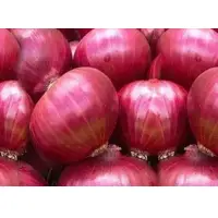 Bhima Red Onion