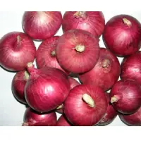 Nhrdf Red 4 Onion