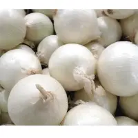Pusa White Round Onion