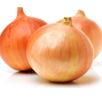 Yellow Onion