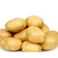 Kufri Chandramukhi - 2 Potato