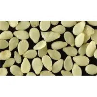 Sesame Seeds