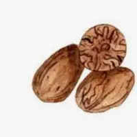 Nutmeg