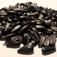 Black Sunflower Seeds