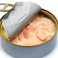 Tuna in Can