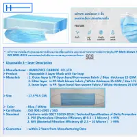 3 Ply Disposable Mask (Non Medical -use)