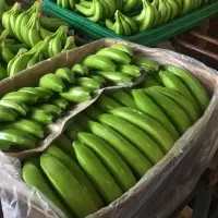 Fresh Banana