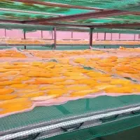 Soft Dried Mango