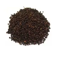 Pepper