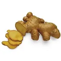 Ginger