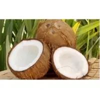 Coconut