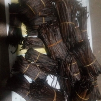 Sri Lankan Vanilla Beans