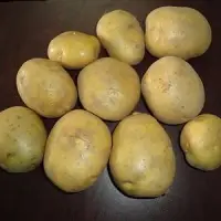 Fresh Potato