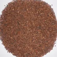 Sesame Seeds