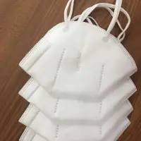 VPG - N95 Protection Mask