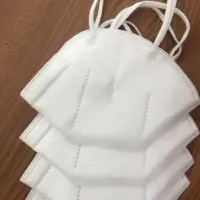 Vpg Or N95 Protection Mask
