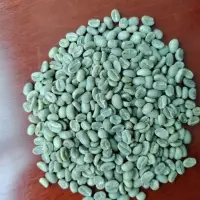 Raw Green Coffee Arabica