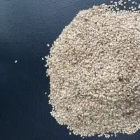 White Sesame Seed