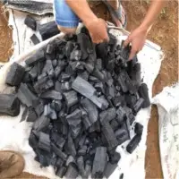Black Charcoal Lump Shape