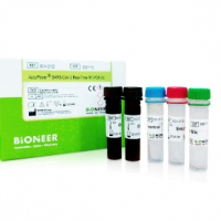 AccuPower COVID-19 RT PCR Kit