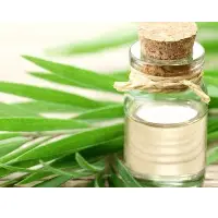Cajeput Oil