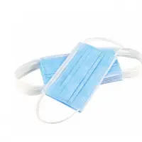 Disposable Medical Mask Type I