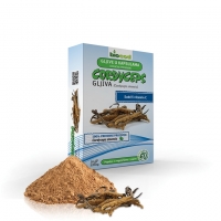 Cordyceps Militaris