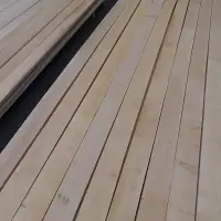 Birch KD 8% Timber