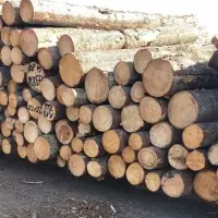 Alder Logs ABC Grade