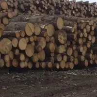Eastern Spruce Round Logs