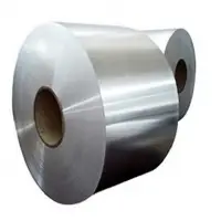 Stainless Steel Coil/Strip