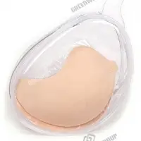 Transparent Bag