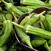 CLEMSON SPINELESS OKRA