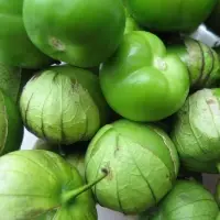 Fresh Tomatillo