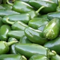 Jalapeno Peppers