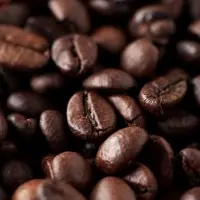 Specialty Coffee
