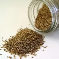 Celery Seeds