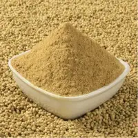 Coriander Powder