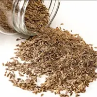 Dill Seeds