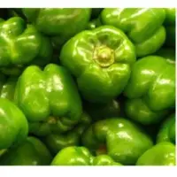 Capsicum (Green)