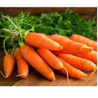 Carrots