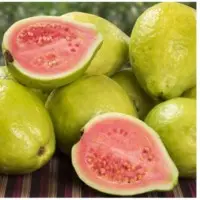 Guava
